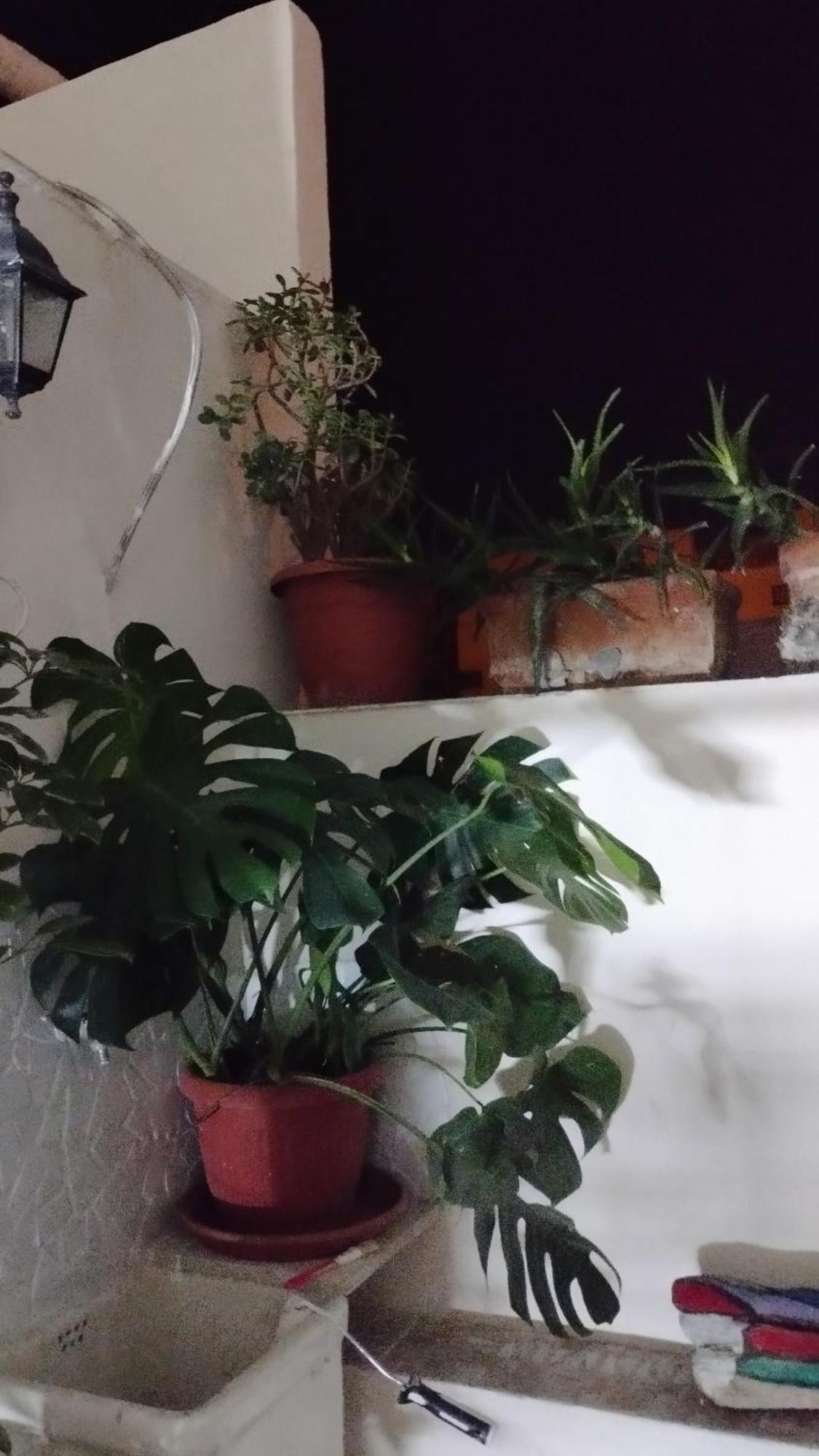 Very Smail House أوغوستا المظهر الخارجي الصورة